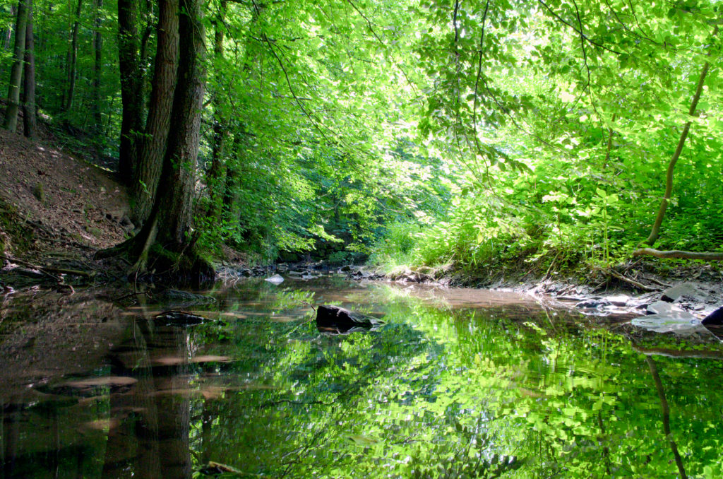Pfinz Karlsbad Ittersbach Pfinztal